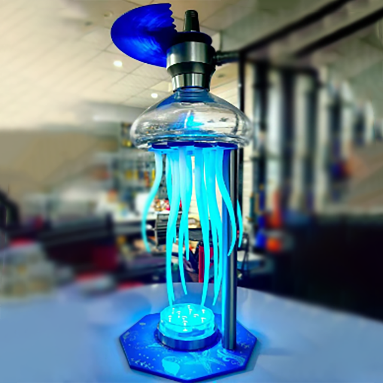 jellyfish-blue2